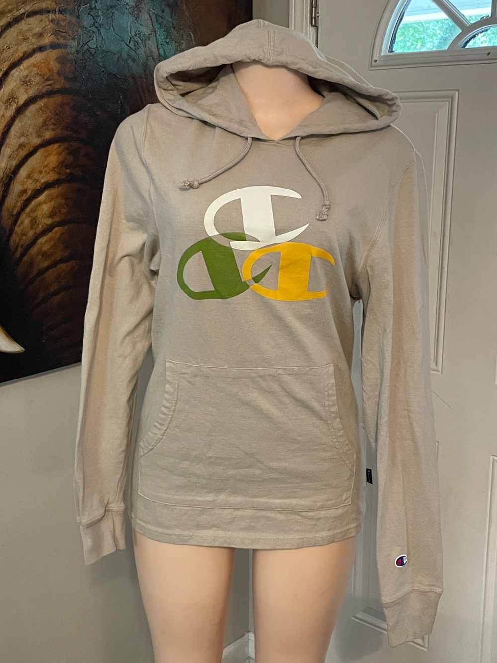 Champion Pullover Hoodie colorful logo graphic overlay size small school men S